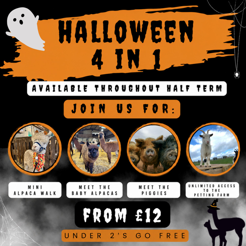 Halloween Four in One Experience