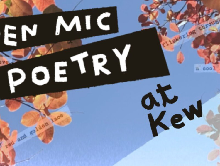Open-Mic Poetry Event