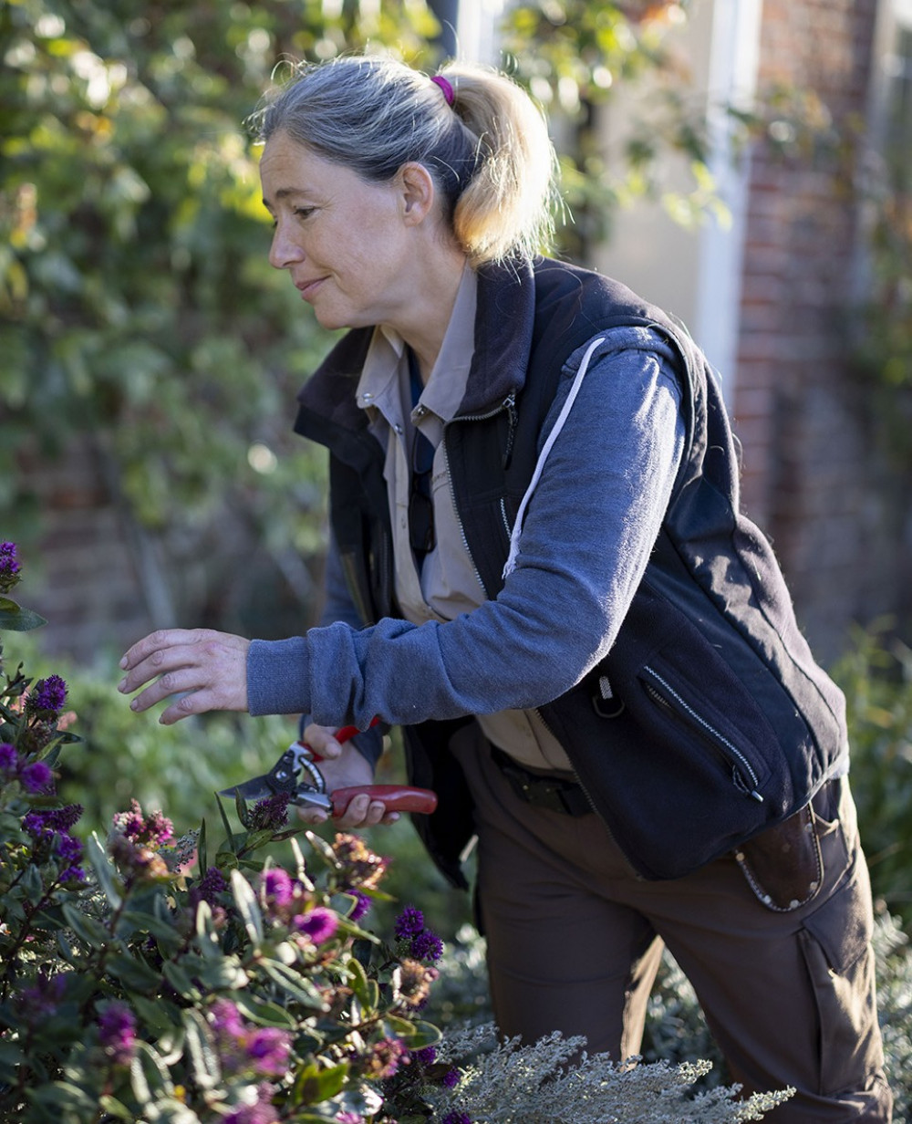 ‘The ornamental garden throughout the seasons’, talk by Louise Nicholls