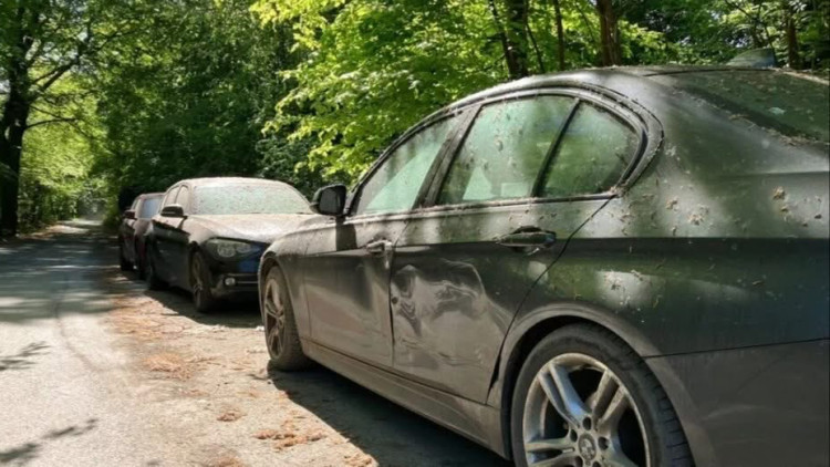 Abandoned cars which had been cluttering up the area around Marple Viaduct have been removed, following a 1,500-signature petition from local residents (Image supplied)