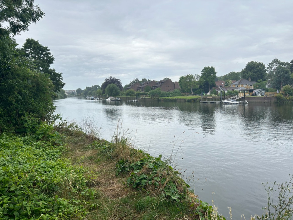 The River Thames near Ham Lands (Credit: Charlotte Lillywhite/LDRS)