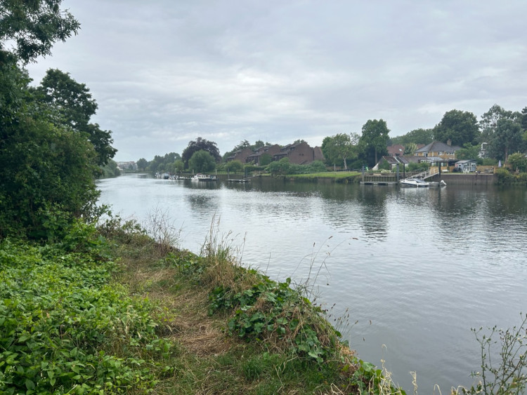 The River Thames near Ham Lands (Credit: Charlotte Lillywhite/LDRS)