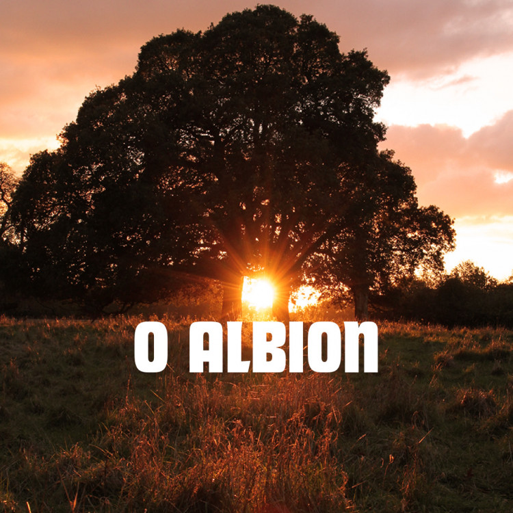 Swan Sessions | Warwick: O Albion