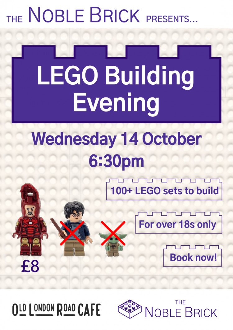 Adults LEGO Building Evening