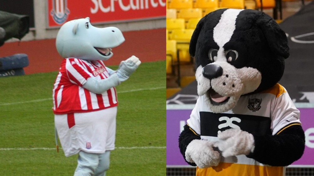 Pottermus and Boomer will feature in a new book (left image via Ronnie Macdonald on wikimedia commons / right image via EchetusXe on wikimedia commons)