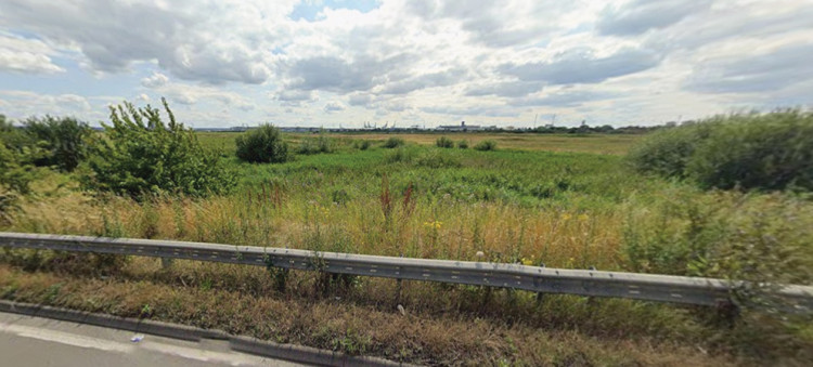 Tilbury's Marshfoot floodplain, which could be devoured by a new data centre.