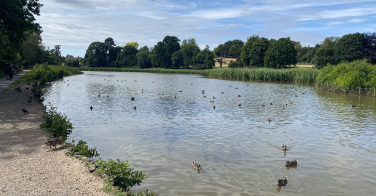 Questions remain over a number of projects in Abbey Fields (image by Nub News)