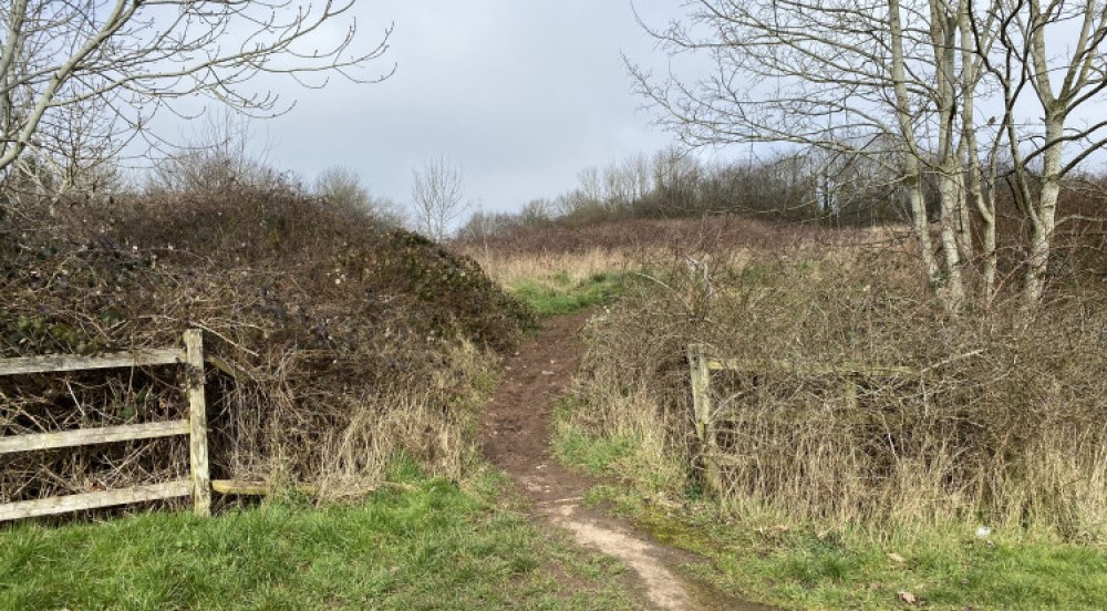Plans to turn Cherry Orchard into a public space have rumbled on for over two years (image by Nub News)