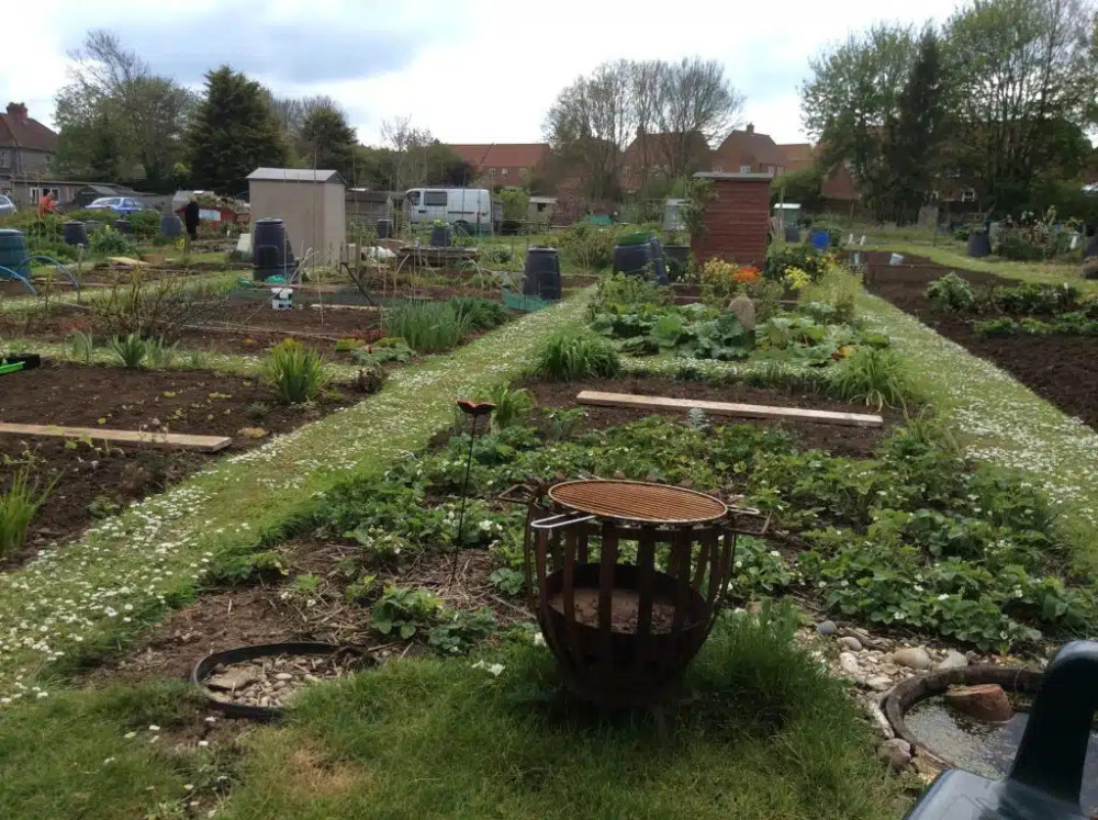  Allotment rents in Shepton Mallet will rise by £5 a year from 1 October 2026 across small, medium and large plots. (Photo: SMTC) 
