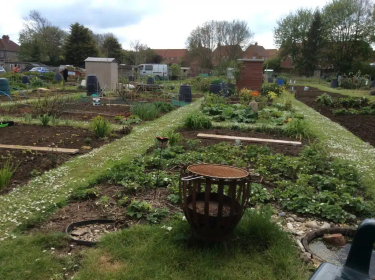  Allotment rents in Shepton Mallet will rise by £5 a year from 1 October 2026 across small, medium and large plots. (Photo: SMTC) 