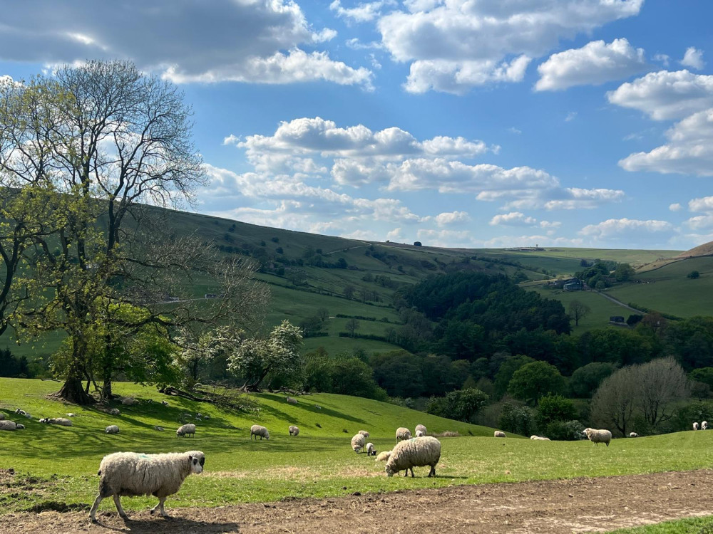 Plans released by the Peak District National Park Authority outline no aim to allocate new sites to meet national targets (Credit: Nub News)