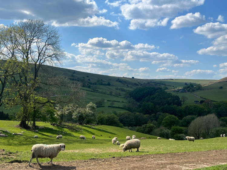 Plans released by the Peak District National Park Authority outline no aim to allocate new sites to meet national targets (Credit: Nub News)
