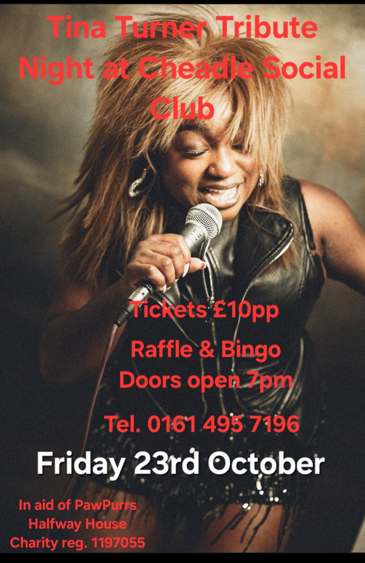 Tina Turner Tribute Evening