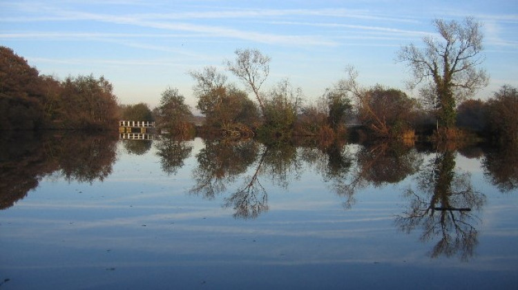 Changes at Earlswood Lakes are moving forward (image by David Stowell)