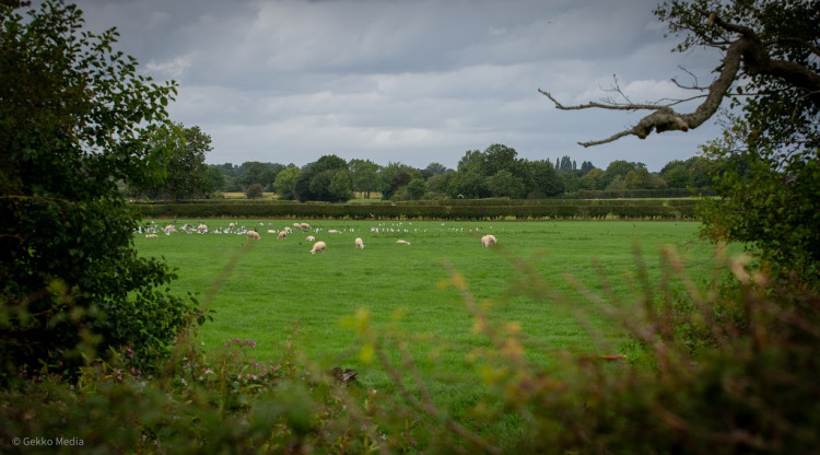 Site of the proposed Adlington Park development (Credit: Gekko Media)