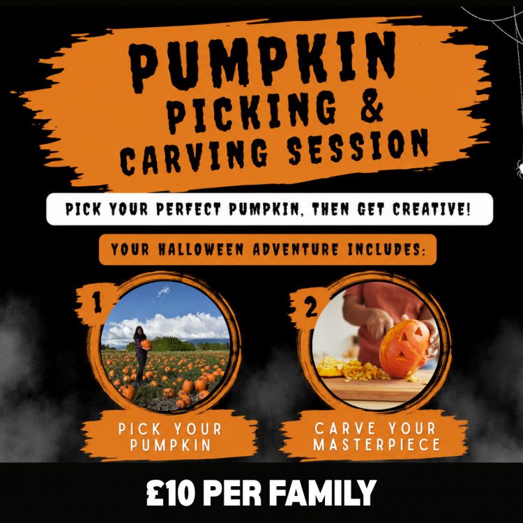 Pumpkin Picking, Carving & Petting Farm Access 