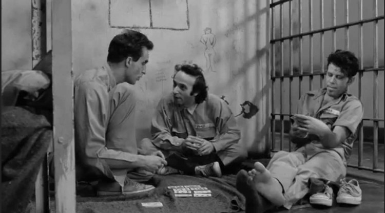 Flicks Film Club: Down By Law (1986)