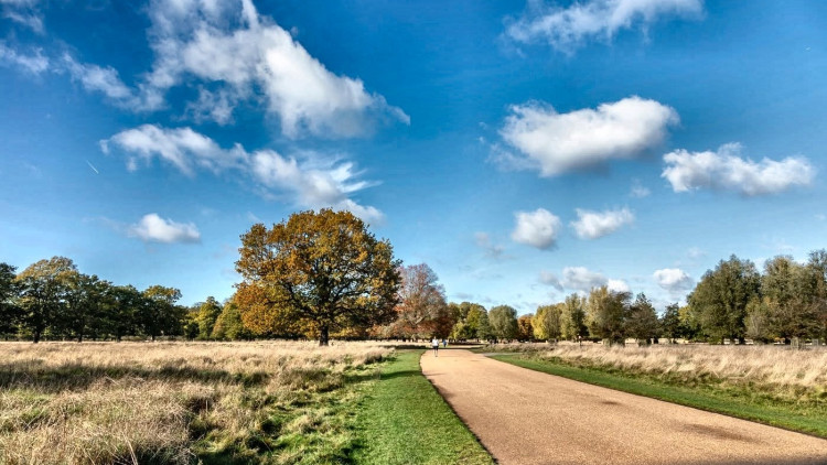 The works will take place on Wednesday, 23 September on the road between Hampton Hill Gate and Upper Lodge Mews (Credit: Bushy Park)