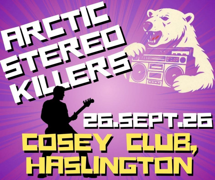 ARCTIC STEREO KILLERS