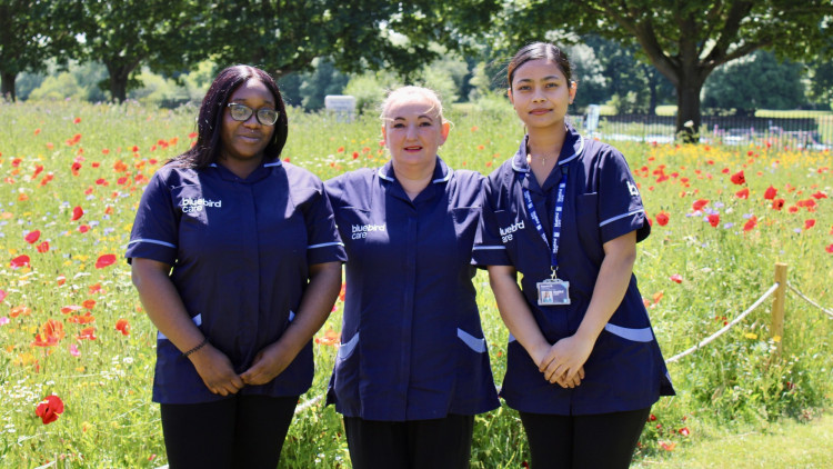 Bluebird Care Richmond & Twickenham reminds residents of the importance of Alzeimer's support and awareness this September (credit: Image supplied).