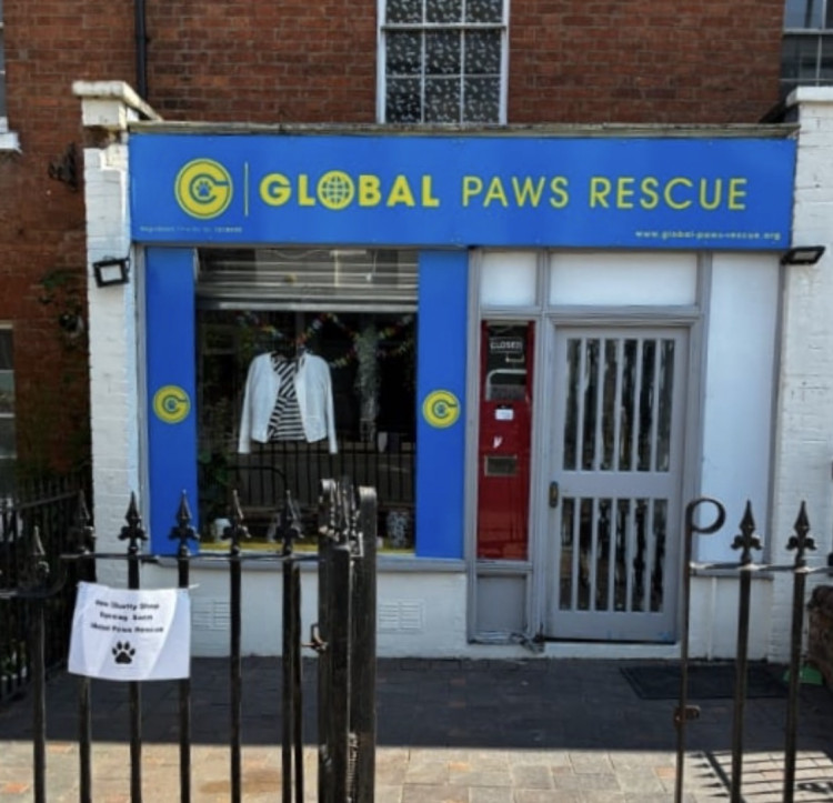Save Our Stray Dogs on Clemens Street in Leamington  (image supplied) 