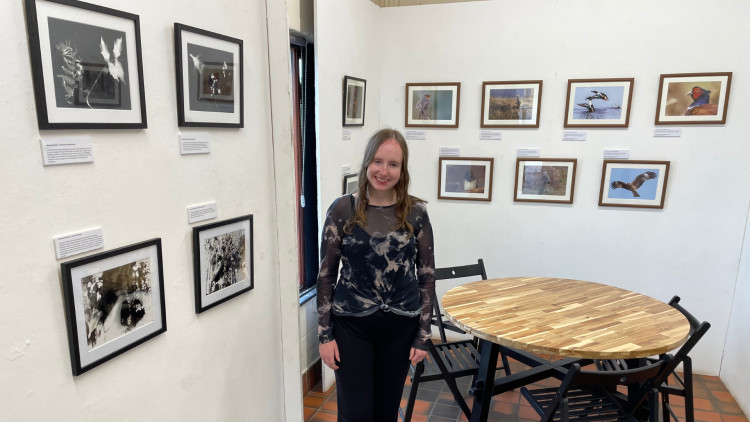  Issy Drake's exhibition, Wildlife Wonders, is currently on display at Tegg's Nose Gallery (Credit: Supplied)