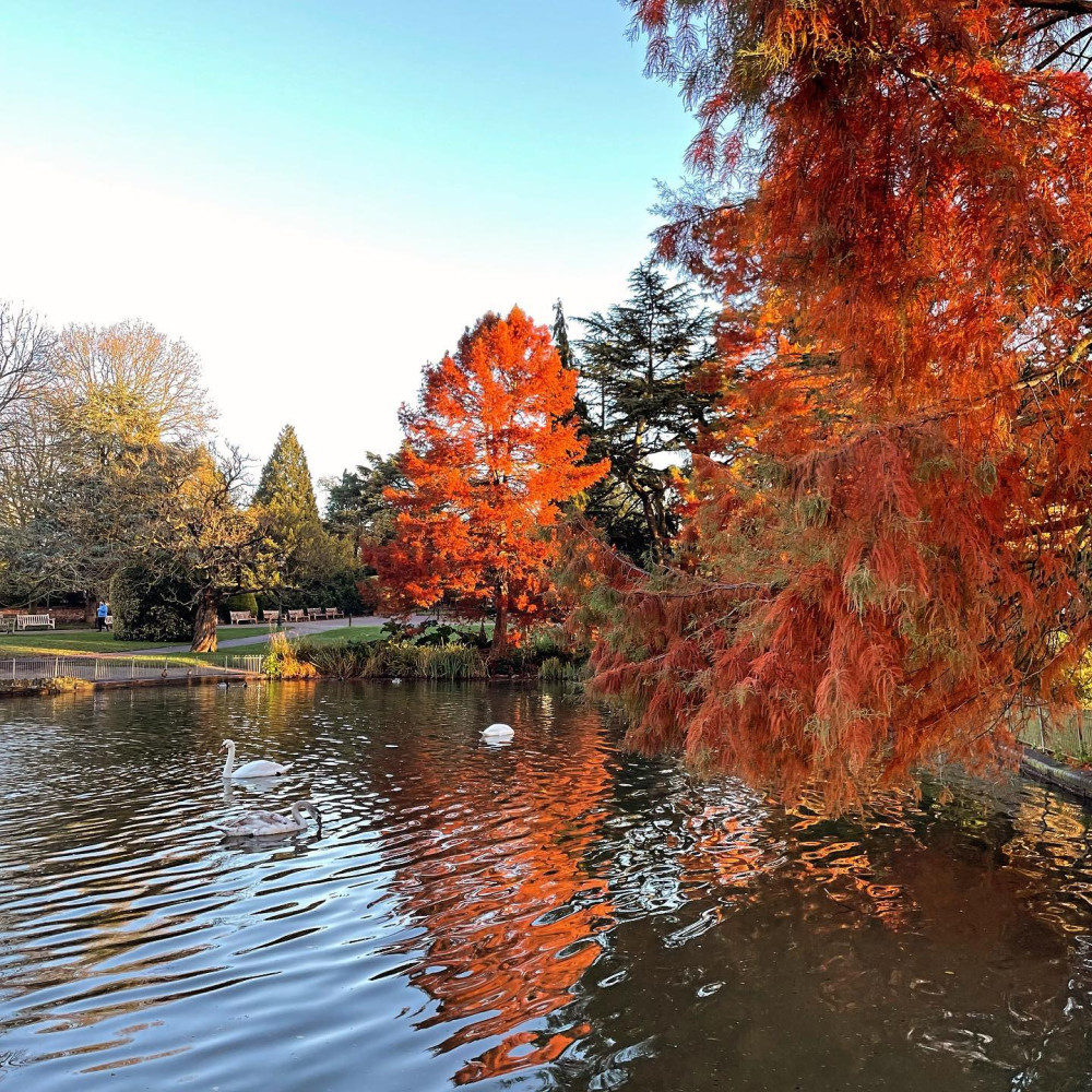 Jephson Gardens during Autumn (image via WDC) 