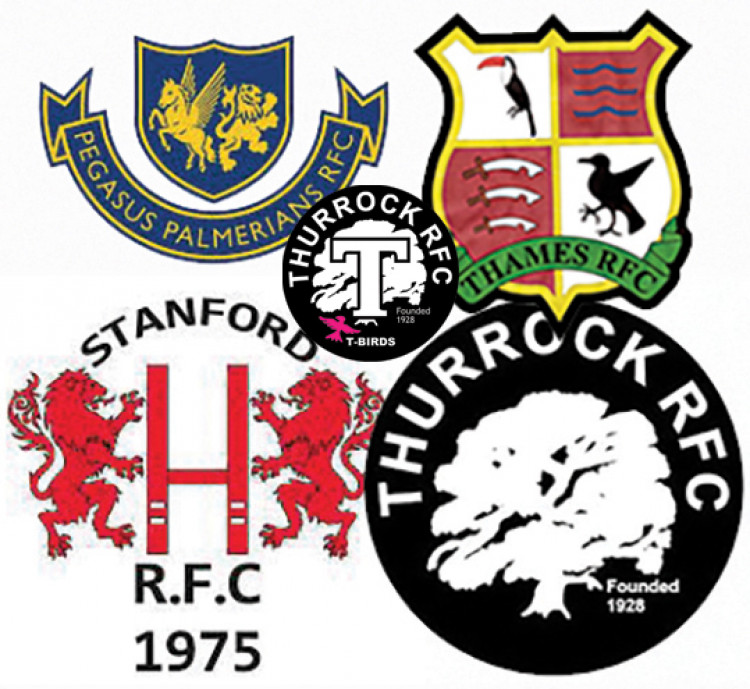 Rugby preview