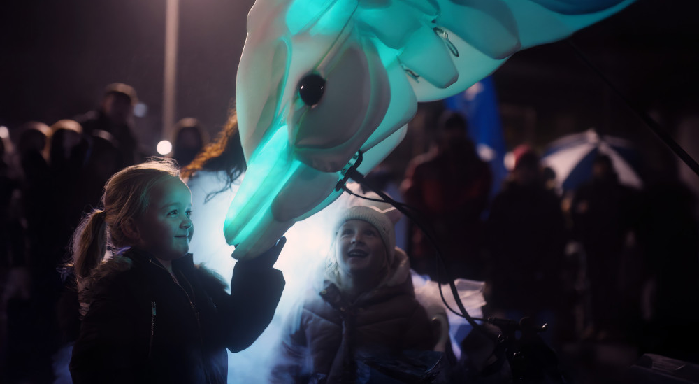 Lanterns & Light will transform the zoo after dark with festive lights, colour and wildlife-themed displays (Image: Chester Zoo)