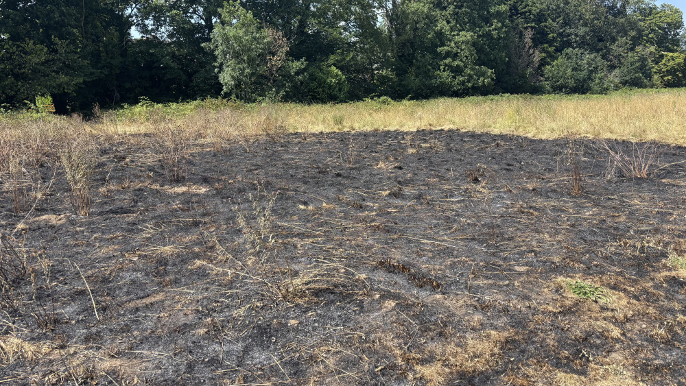 The proposal comes after a number of wildfires in Solihull and across the UK during recent periods of hot, dry weather. (Fire in Dorrdige park in July 2026. Image via Nub News.)