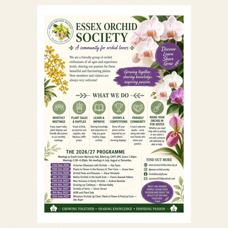 Essex Society Orchid events