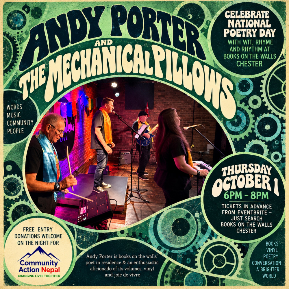 Andy Porter and The Mechanical Pillows