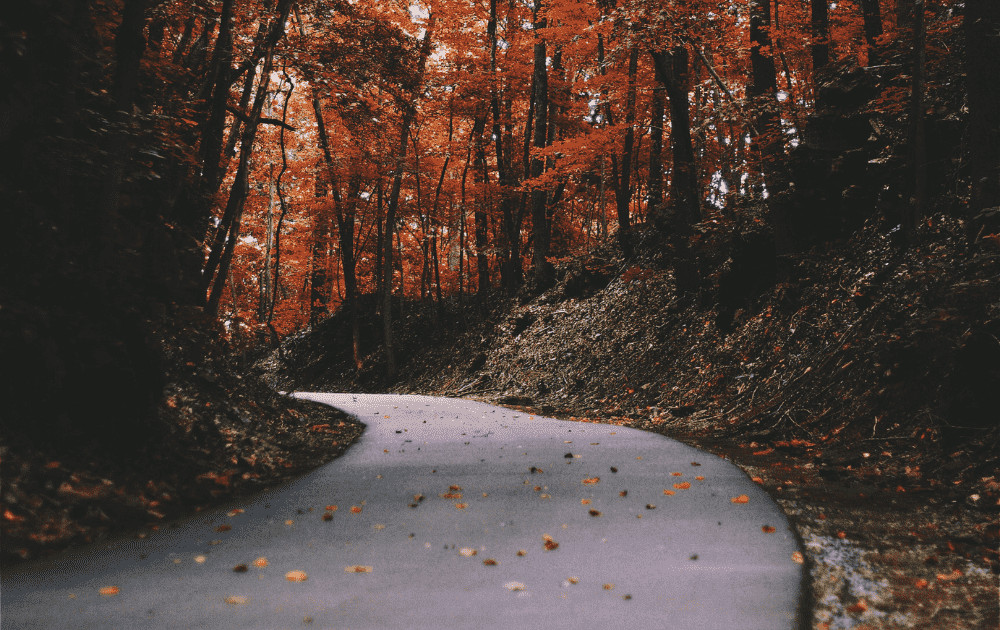 Embrace autumn's fresh start by decluttering, cozying up your home, exploring locally, and planning small enjoyable moments to enrich everyday life