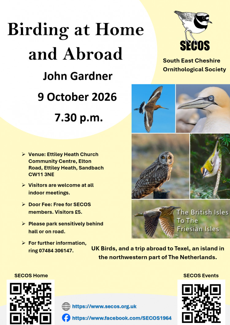 Birding at Home and Abroad