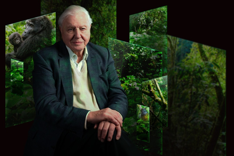 The production was created in collaboration with Sir David and the award-winning team at Open Planet Studios (Image: Trustees of the Natural History Museum)