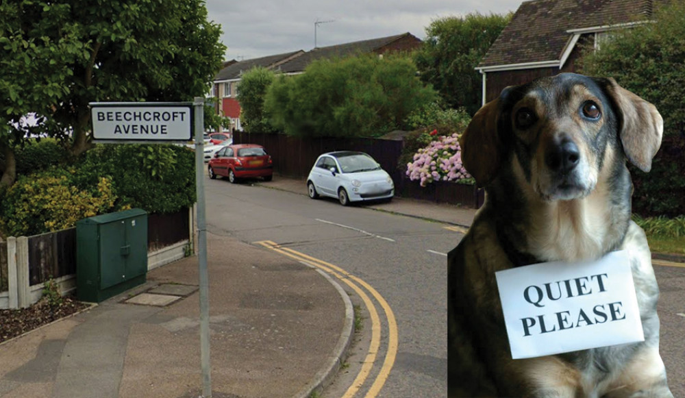 Failing to keep a dog from annoying neighbours cost a woman £11,304