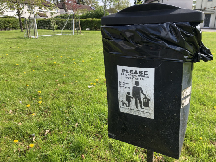 Councillors say dog fouling is on the rise in Warwick district (image via LDR)