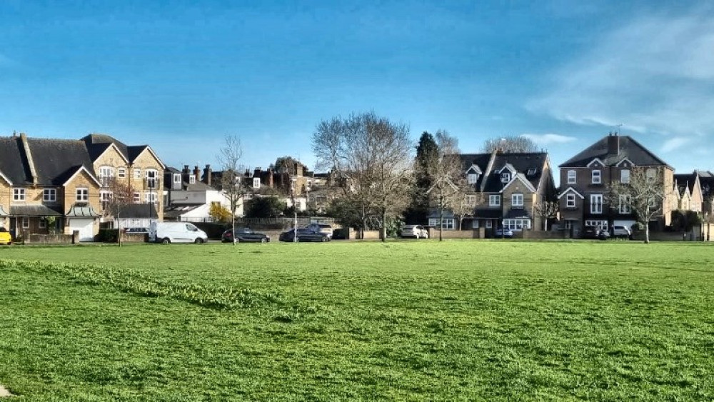 The bulb planting will take place at Hampton Village Green (Image via Google Maps)
