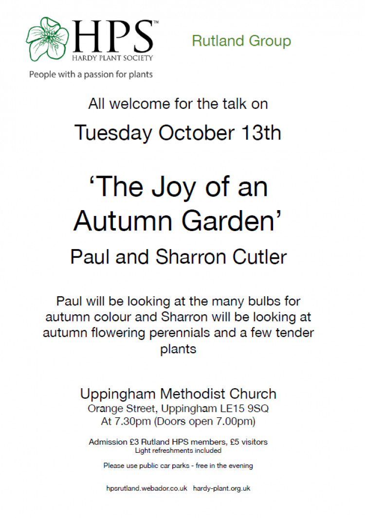 The Joy of an Autumn Garden