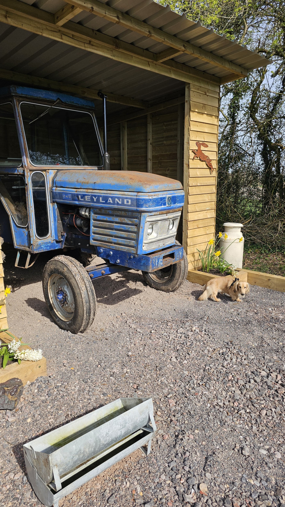 Before Berties restored bodywork