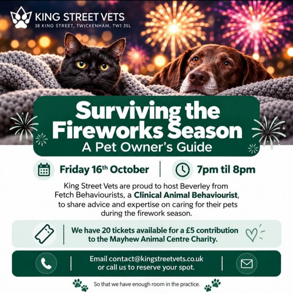 Surviving the Fireworks Season with your pets