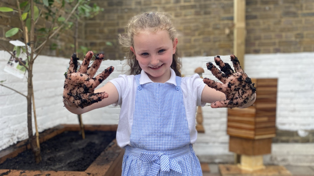 The scheme has been running in Solihull since 2022, with 20 fruit trees and 20 strawberry plants planted across six local schools so far. (Image supplied)