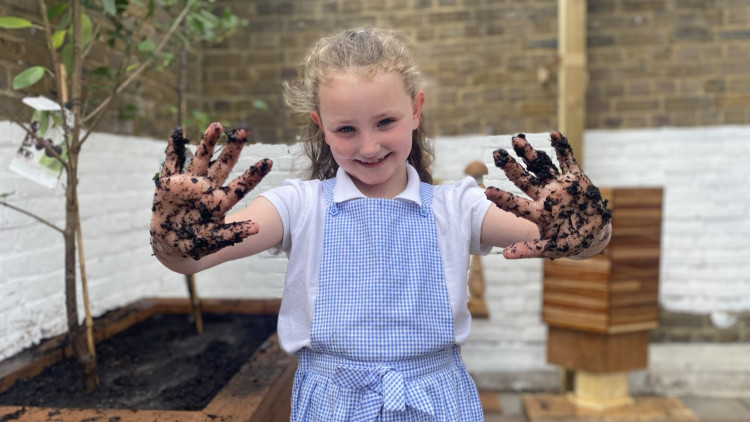 The scheme has been running in Solihull since 2022, with 20 fruit trees and 20 strawberry plants planted across six local schools so far. (Image supplied)