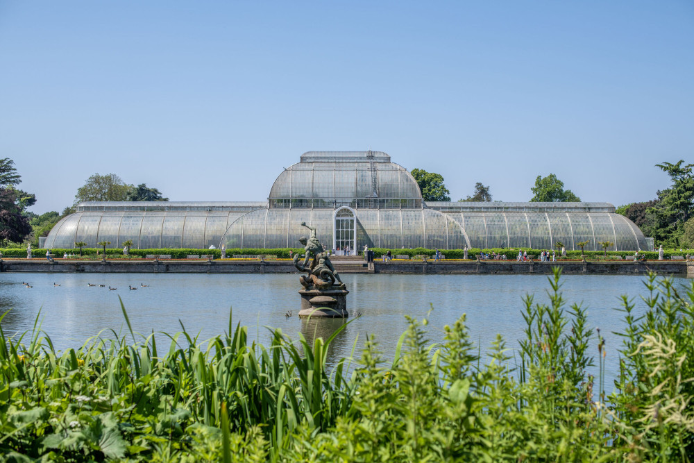 Royal Botanic Gardens Kew has launched a £1m appeal to save its Palm House (Ines Stuart-Davidson/RBG Kew)