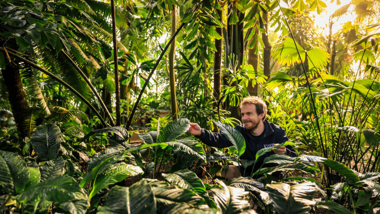 Royal Botanic Gardens Kew has launched a £1m appeal to save its Palm House (credit: Sebastian Kettley/RBG Kew).
