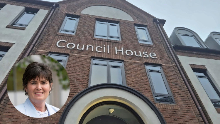 Reform UK and Green group councillors attempted to vote the plan down but in the end the 200 page draft plan outlining how the authority could develop up to 2043 passed. (Image via LDRS, Nub News)