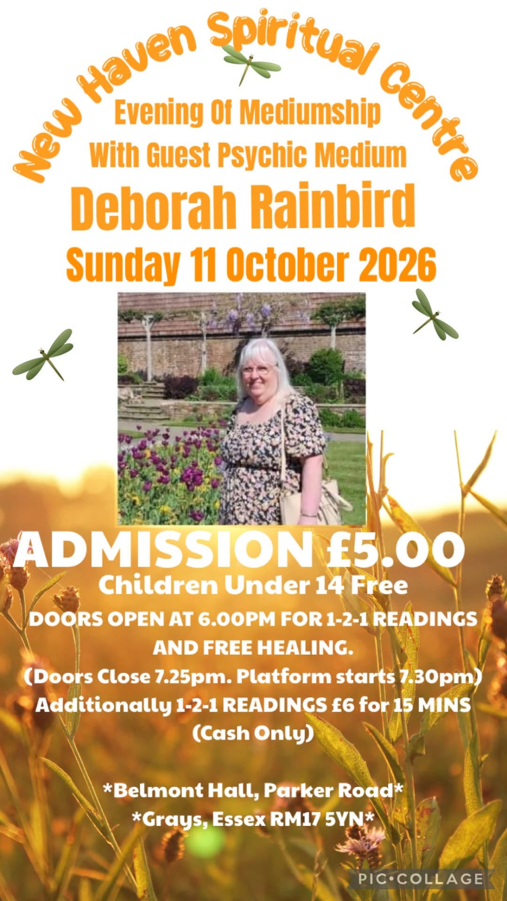 Medium Deborah Rainbird at Platform