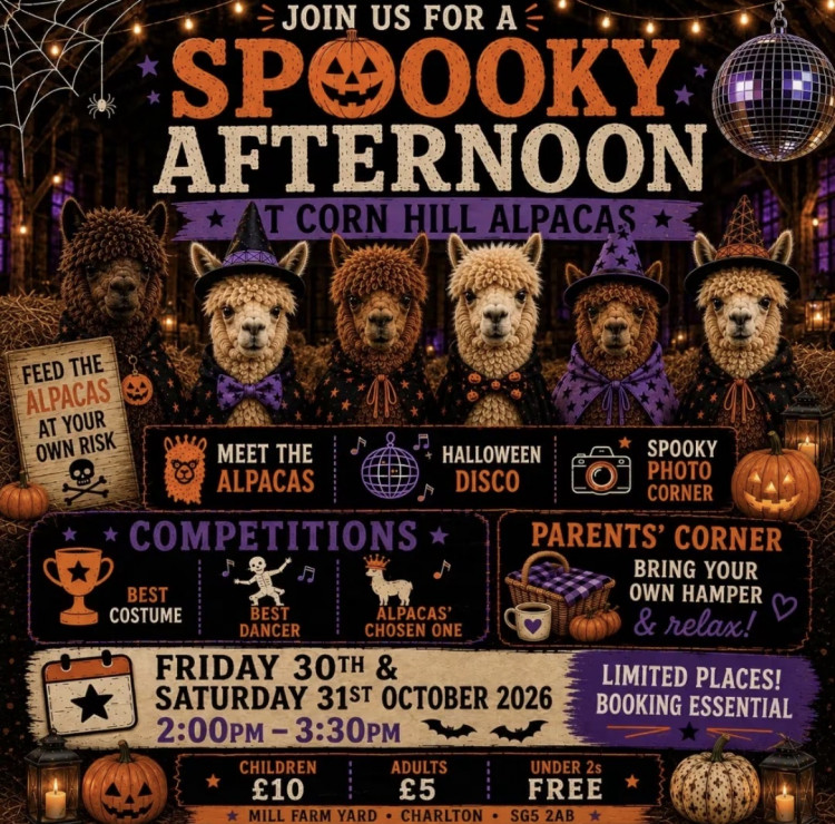 AlpacaPocalypse