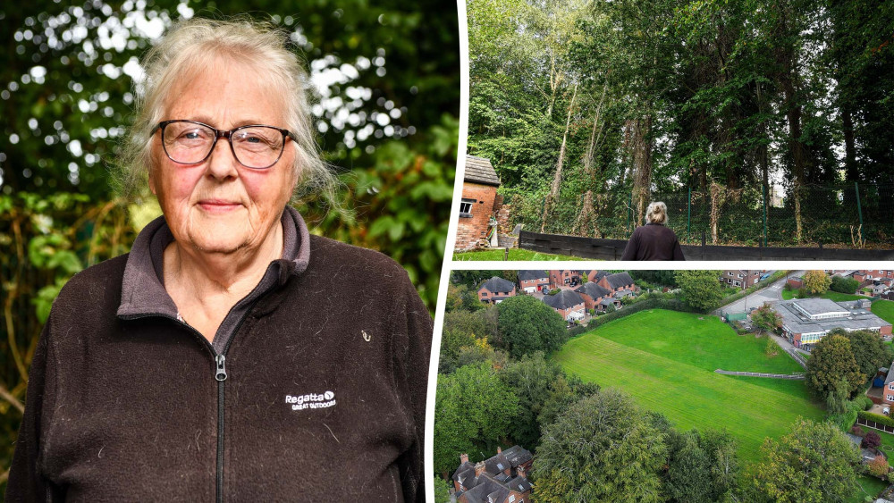 Locals, including Kay Mitchell, say the trees are blocking sunlight from their homes (image via SWNS)
