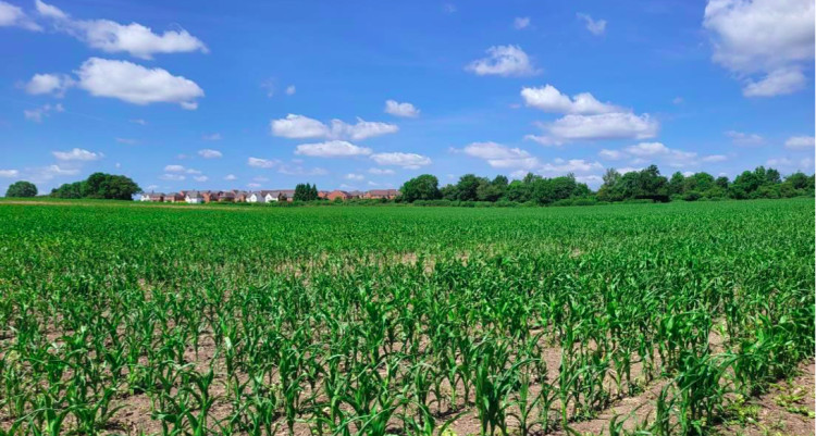 A view across the site in Bishop's Tachbrook (image via planning application)